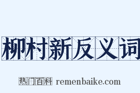 柳村新反义词是什么意思的图片